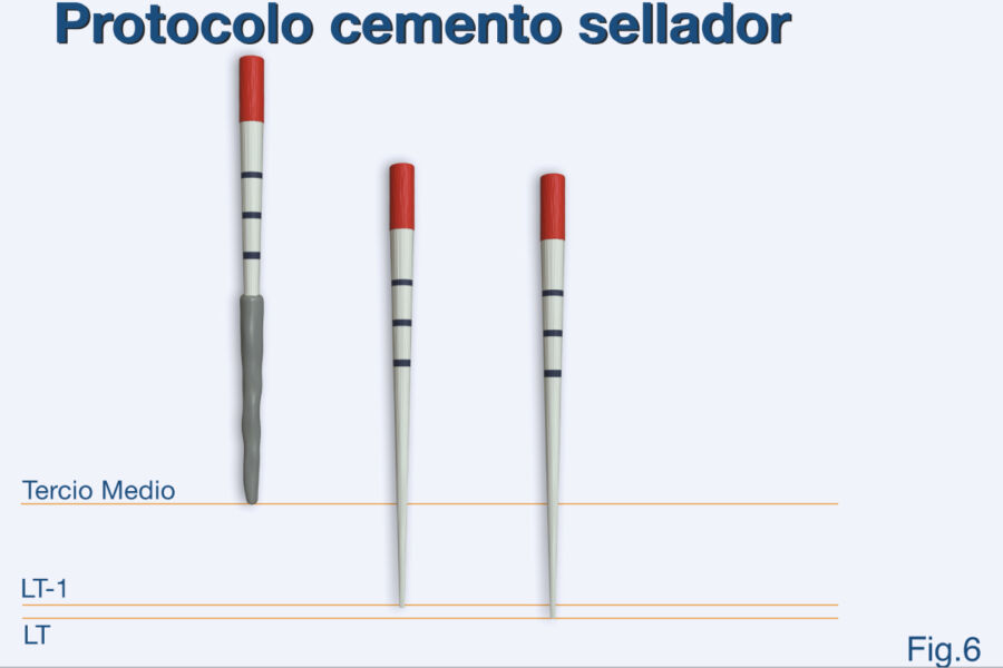 protocolo-sellador-gaite protocolo-sellador-gaite